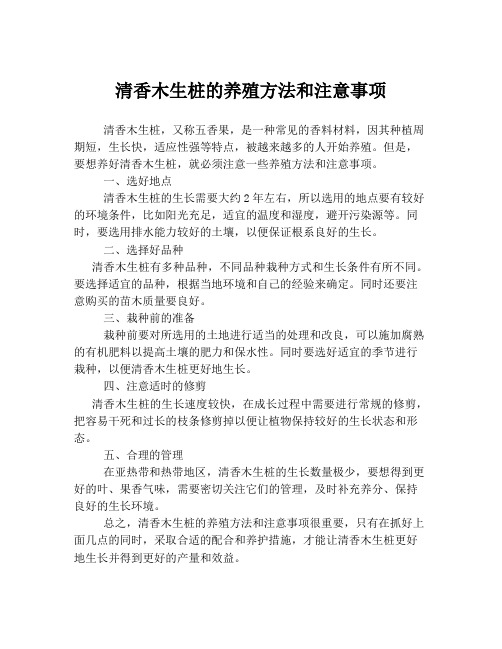 清香木生桩的养殖方法和注意事项