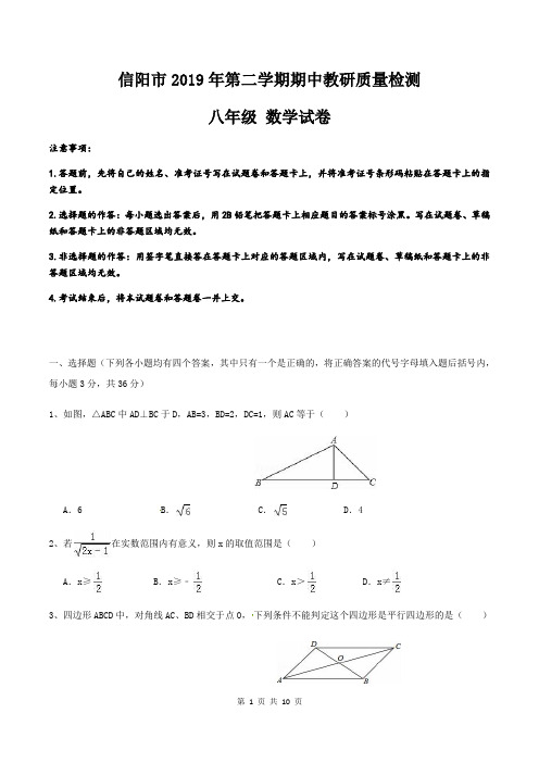 河南省信阳市2019年第二学期期中考试卷 八年级数学测试卷(含答案)