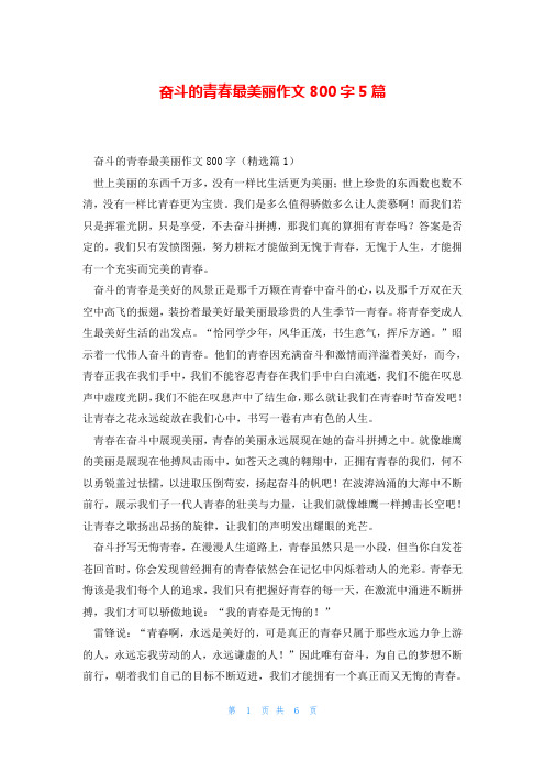 奋斗的青春最美丽作文800字5篇