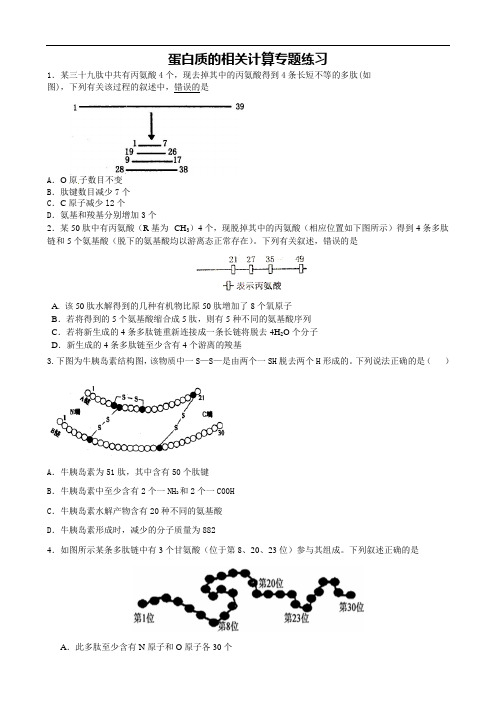 2022高三一轮复习生物计算类专题训练01-蛋白质的相关计算(含答案)