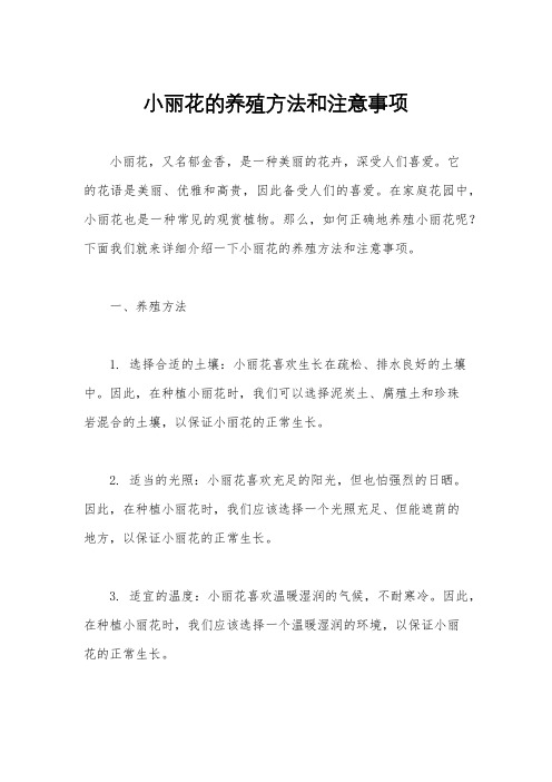 小丽花的养殖方法和注意事项