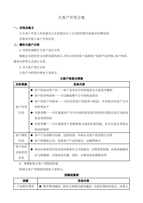 大客户开发方案210248