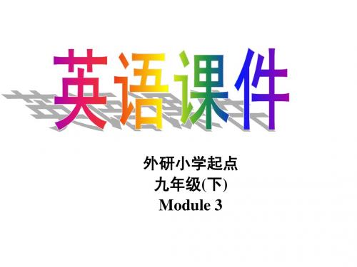 外研(新标准)版九年级下Module3 Unit3课件