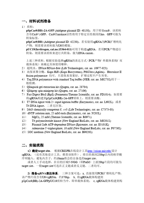 CRISPR-Cas9体系实验流程 (2)