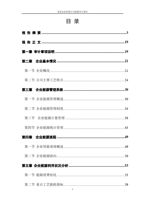 某水泥企业能源审计报告(完整版)