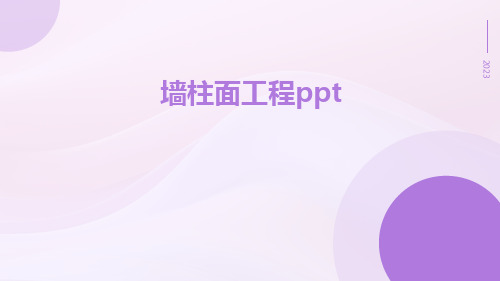 墙柱面工程ppt