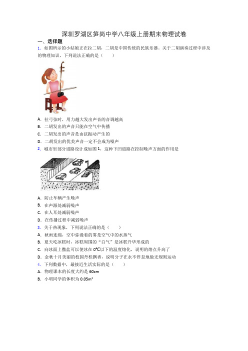 深圳罗湖区笋岗中学八年级上册期末物理试卷