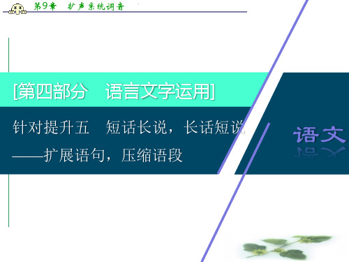 新课标高考语文二轮课件：专题八语言知识与表达题 针对提升五 短话长说长话短说——扩展语句压缩语段