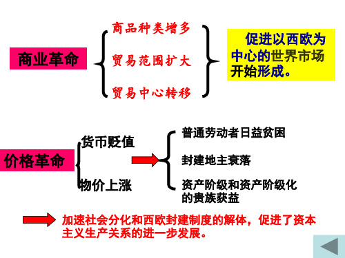 世界市场的形成与全球化复习