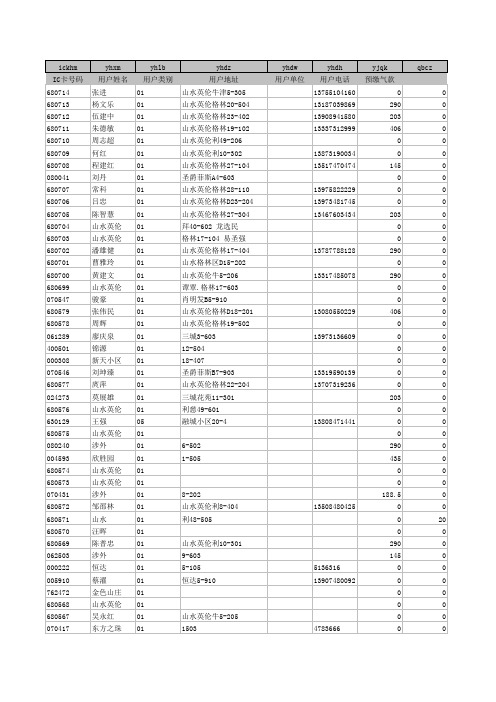 旧售气系统小区液化气湘智表用户档案-2号机