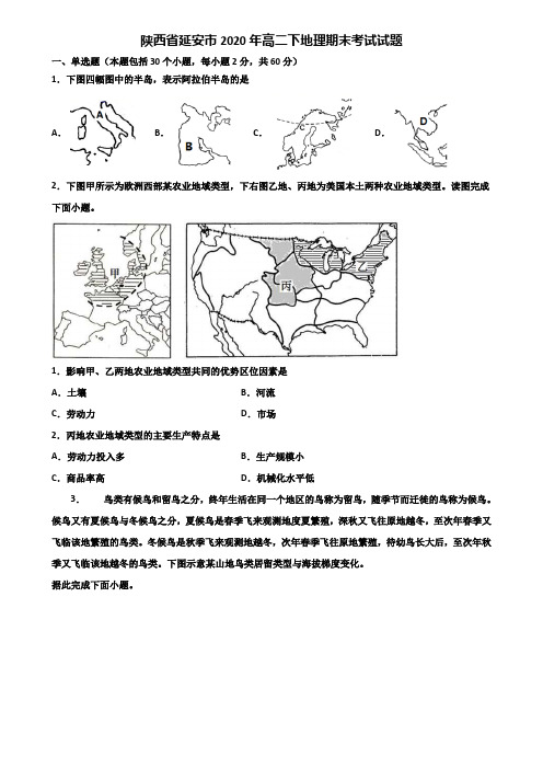 陕西省延安市2020年高二下地理期末考试试题含解析