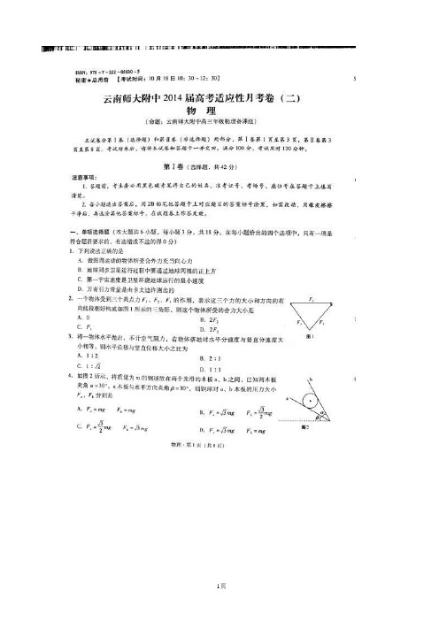 云南师大附中2014届高考适应性月考卷(二)物理试题