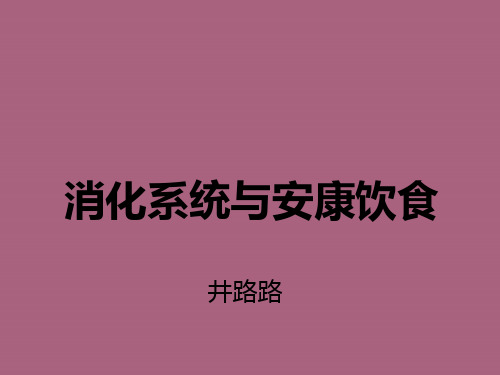 消化系统与健康饮食ppt课件