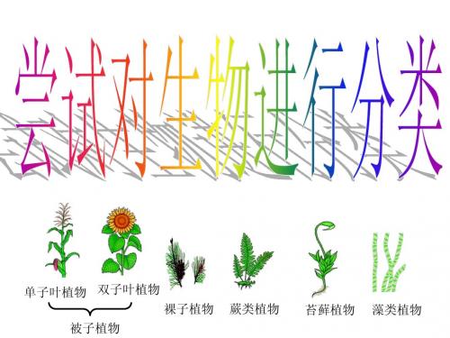 人教版八上六单元一章一节尝试对生物进行分类