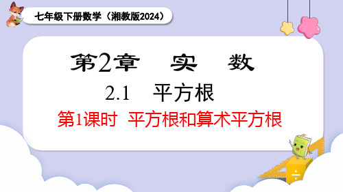 湘教版2024七年级数学下册2.1 第1课时 平方根和算术平方根 课件