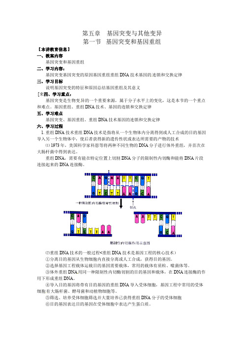 人教高中生物必修2教案：第五章第一节 基因突变与基因重组2