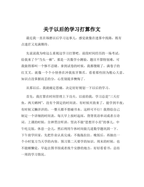 关于以后的学习打算作文