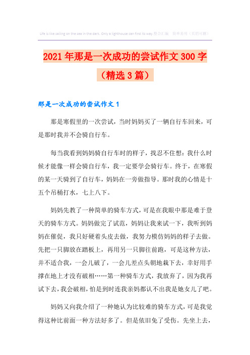 2021年那是一次成功的尝试作文300字(精选3篇)