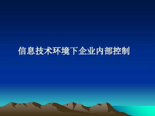 现代企业内部控制的概念(ppt 66页)