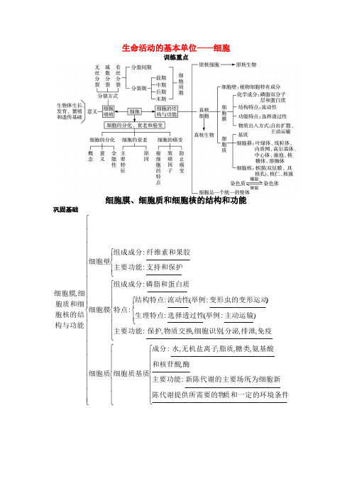 高中生物《生命活动的基本单位—细胞》学案4 苏教版必修1