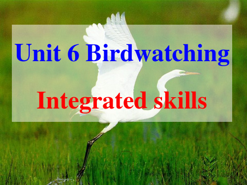 牛津译林版英语8A Unit6 Birdwatching Integrated skills课件(19张PPT)