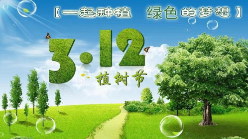 植树节(课件)-小学生主题班会通用版(共25张PPT)