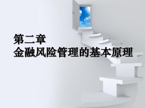 chapter2 金融风险管理的基本原理