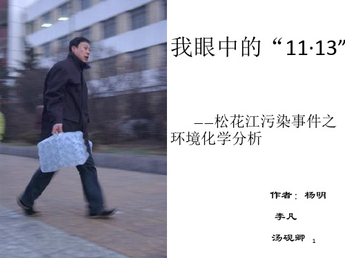 我眼中的“11·13”松花江污染事件之环境化学分析(PPT-31)