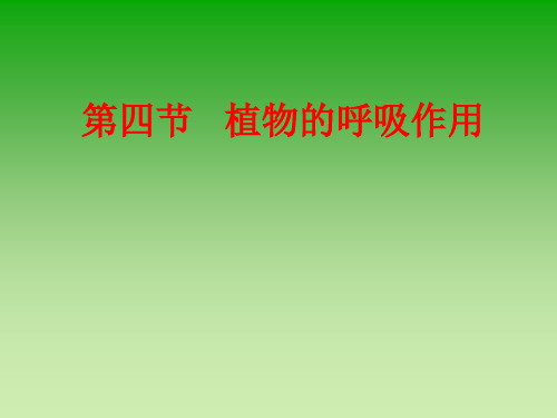 苏教版初中生物七年级上册 3.6.4 植物的呼吸作用 课件(共17张PPT)