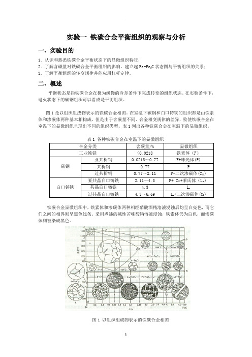 实验一 铁碳合金平衡组织的观察与分析