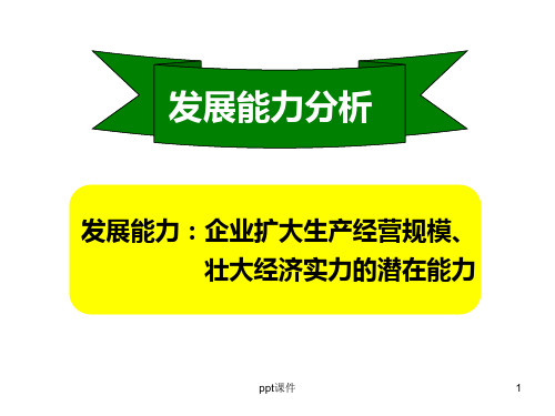 发展能力分析  ppt课件