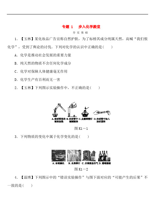 【鲁教版】2020-2021中考化学复习专题《步入化学殿堂》练习(含答案)