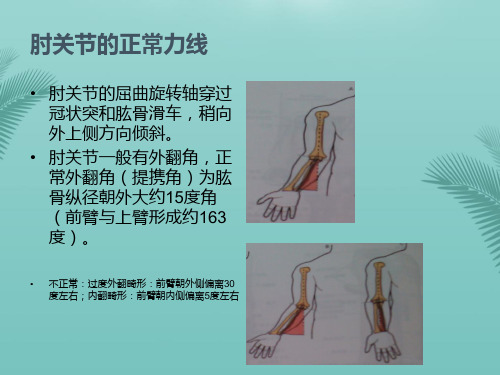 【推荐文档】肘关节生物力学PPT