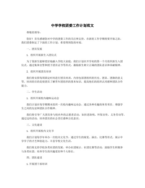 中学学校团委工作计划范文