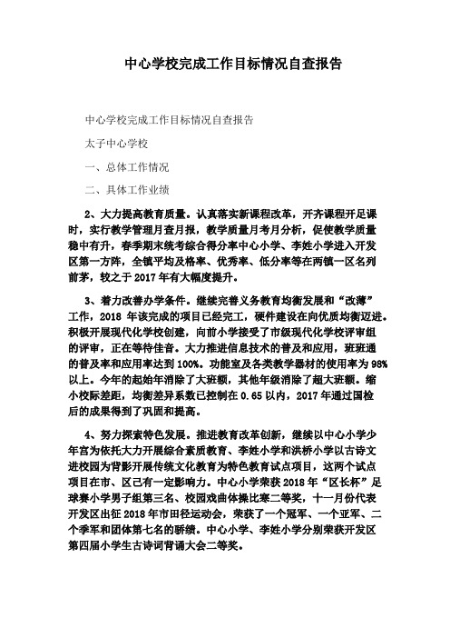 中心学校完成工作目标情况自查报告