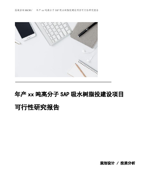 年产xx吨高分子SAP吸水树脂投建设项目可行性研究报告