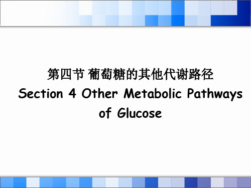 葡萄糖的其他代谢路径