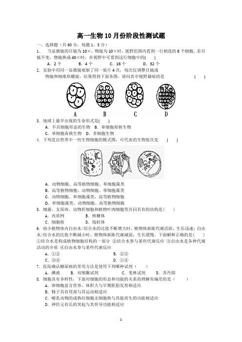 必修一生物10月检测题