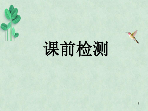 淡妆浓抹总相宜——语言的色彩ppt课件5 人教课标版