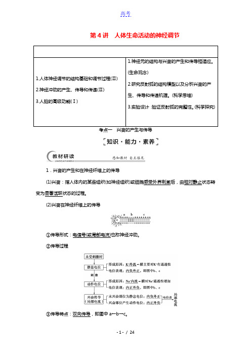 2022版高考生物一轮复习第8单元生命活动的调节第4讲人体生命活动的神经调节教案苏教版必修3