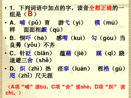 正确使用词语(熟语)ppt