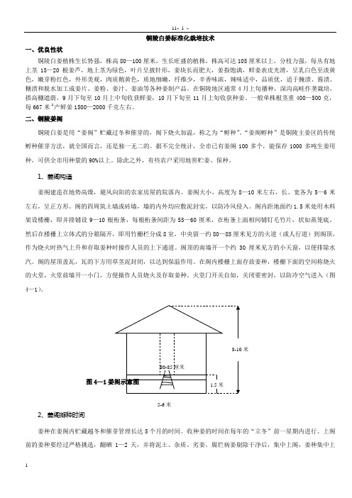 铜陵白姜标准化栽培技术