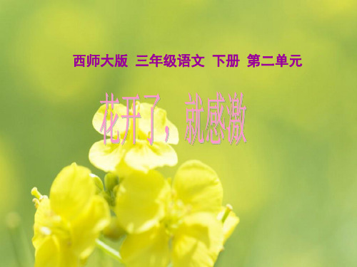 花开了就感激PPT教学课件