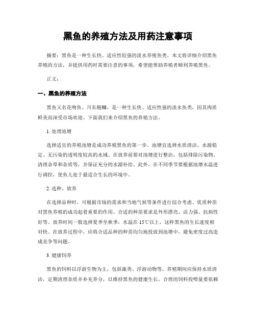 黑鱼的养殖方法及用药注意事项