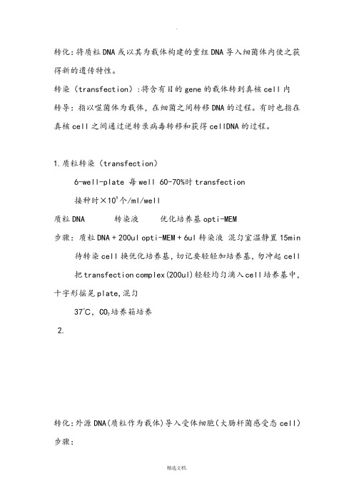 质粒转化、细胞转染步骤