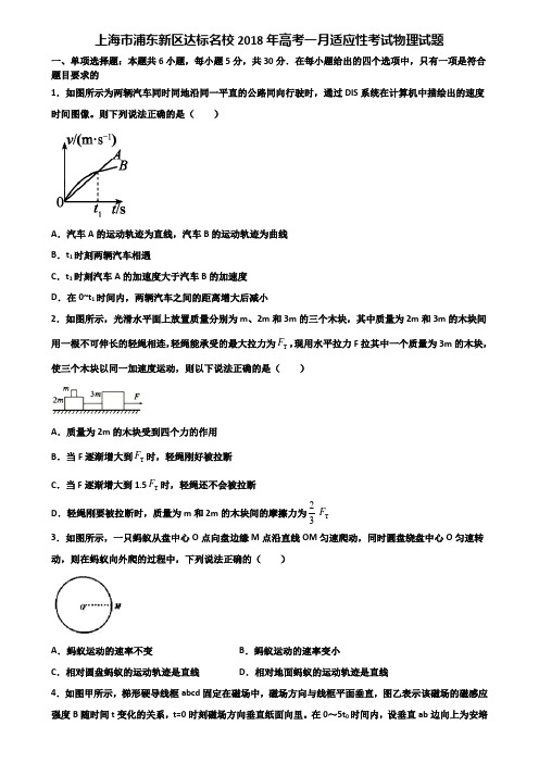 上海市浦东新区达标名校2018年高考一月适应性考试物理试题含解析.doc