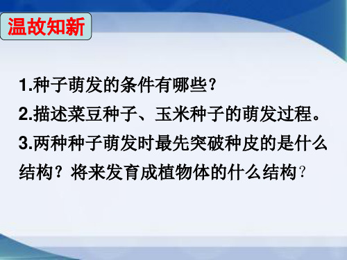 济南版八年级上册4.1.5根的结构与功能第一课时(22张PPT)