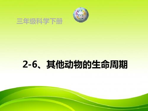 教科版三年级科学下册《其他动物的生命周期》(三下科学)公开课课件