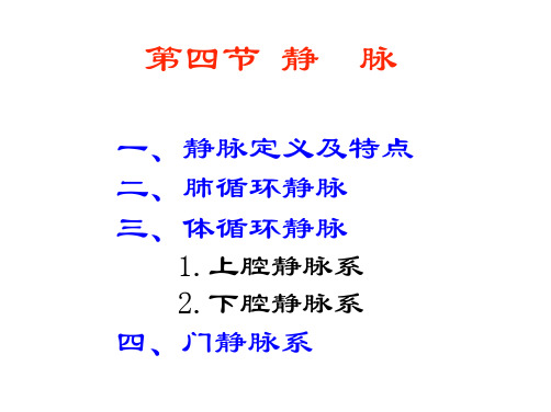 解剖生理脉管3静脉汇总