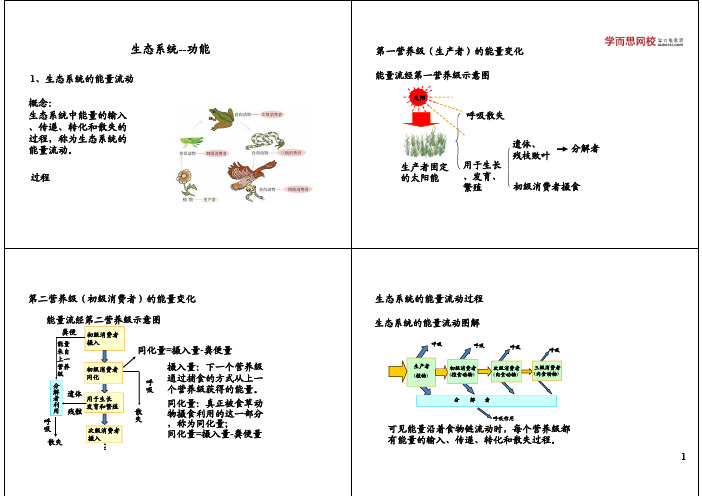 生态系统--功能第一营养级（生产者）的能量变化